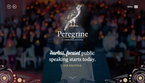 Peregrine Communications was great because we got to help a new company brand itself with a logo and website!  Peregrine was also a website we won a 2016 GDUSA for!